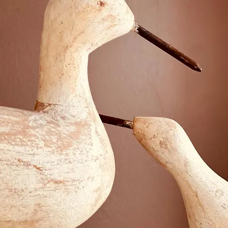 Duinhelm Vakantiestudio Mariakerke - A Cosy Place By The Sea Apartamento Ostende