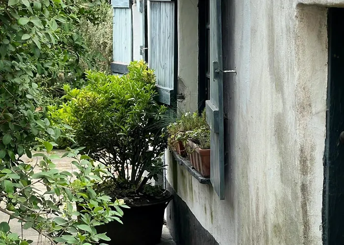 Duinhelm Vakantiestudio Mariakerke - A Cosy Place By The Sea Appartement *